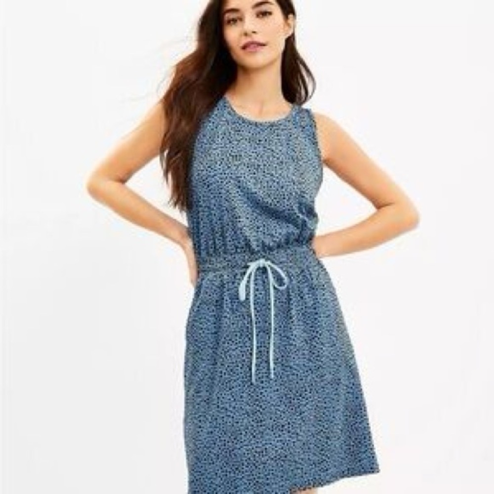 Lou & Grey. Blue & Black Animal Print Casual Dress. Size Small.